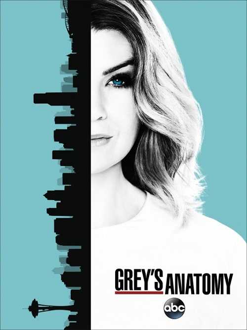 مسلسل Greys Anatomy الموسم 13 الحلقة 18