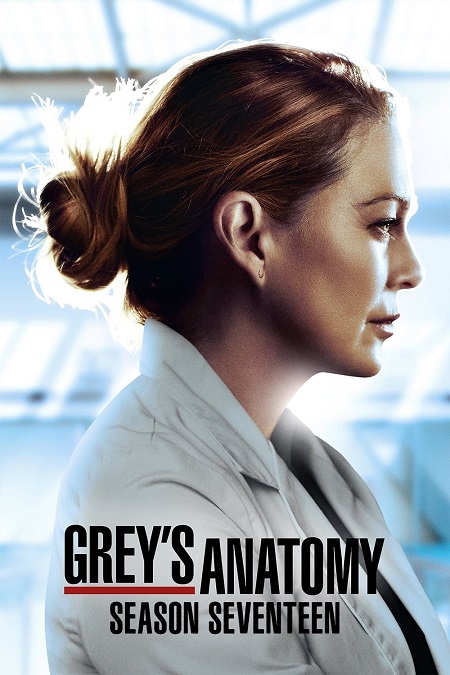 مسلسل Grey’s Anatomy الموسم 17 مترجم كامل