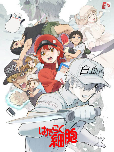 انمي Cells at Work الموسم الثاني الحلقة 5 مترجمة