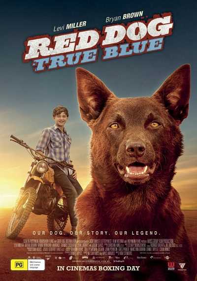 مشاهدة فيلم Red Dog: True Blue 2016 مترجم