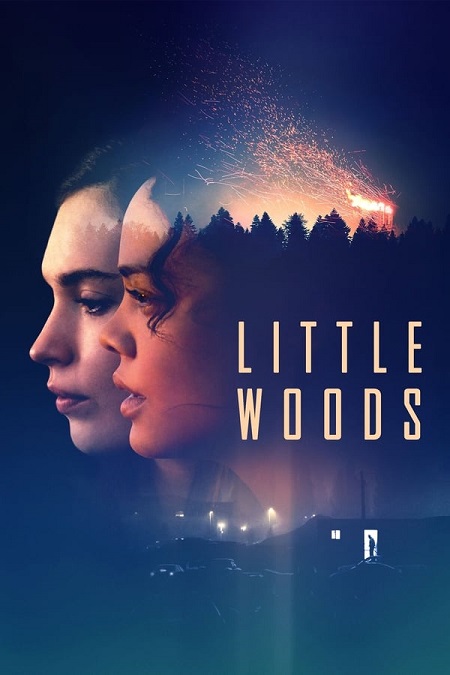 مشاهدة فيلم Little Woods 2018 مترجم