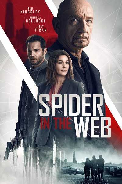 مشاهدة فيلم Spider in the Web 2019 مترجم