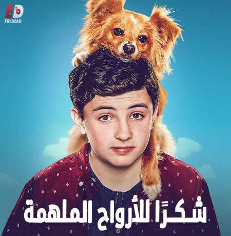 مسلسل The Healing Powers of Dude الحلقة 6 مترجمة