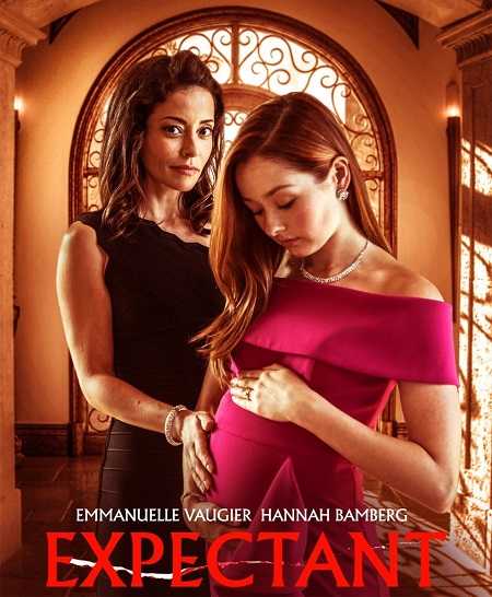 فيلم Dying for Motherhood 2020 مترجم