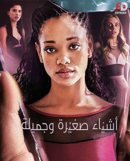 مسلسل Tiny Pretty Things 2020 مترجم كامل