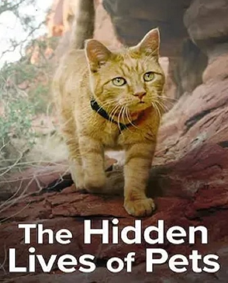 مسلسل The Hidden Lives of Pets الموسم الاول الحلقة 1 مترجمة