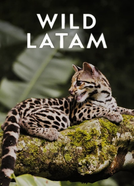 مسلسل Wild Latam الموسم الاول الحلقة 9 مترجمة