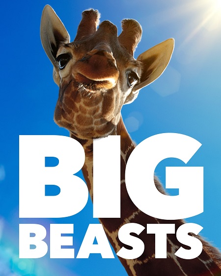 مسلسل Big Beasts الموسم الاول الحلقة 6 مترجمة