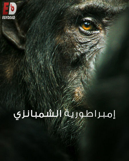 مسلسل Chimp Empire الحلقة 2 مترجمة