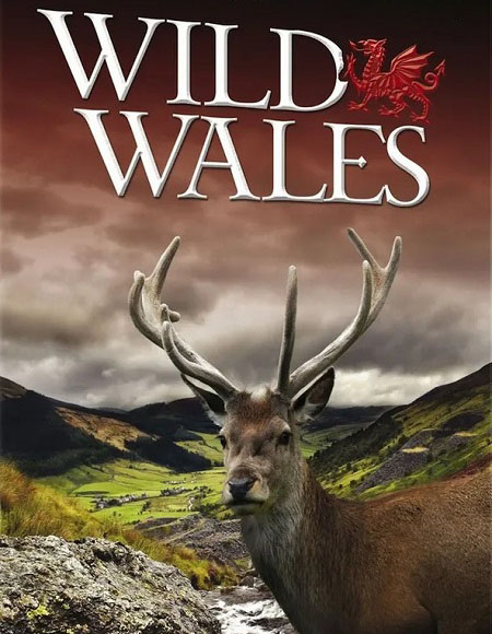 مسلسل Wild Wales الحلقة 2 مترجمة