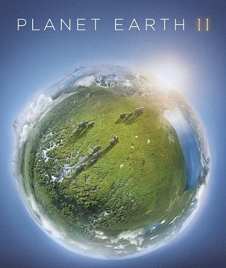 مسلسل Planet Earth الموسم الثاني الحلقة 2 مترجمة