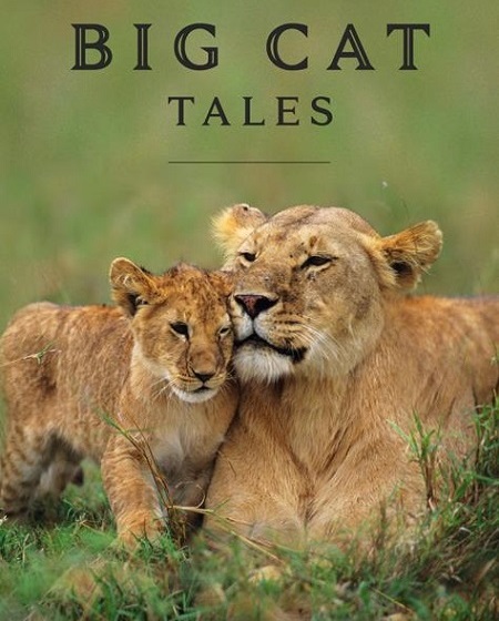 مسلسل Big Cat Tales الموسم الاول الحلقة 4 مترجمة