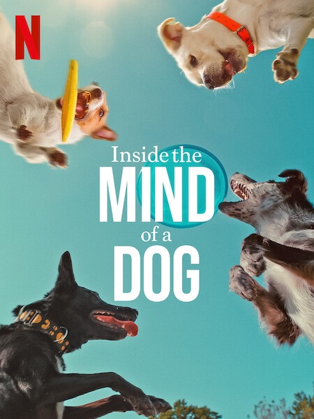 مشاهدة فيلم Inside the Mind of a Dog 2024 مترجم